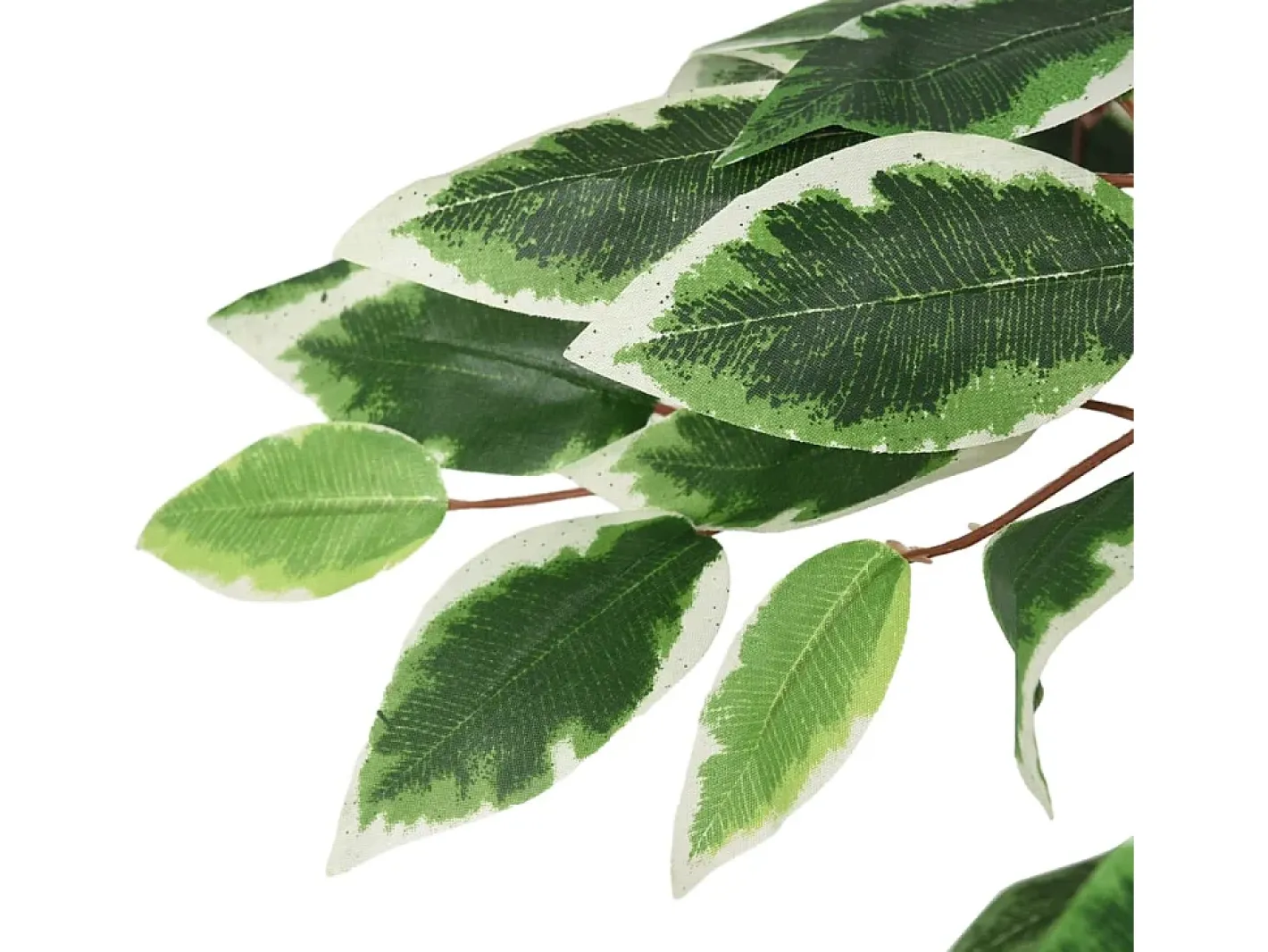 Ficus artificial con 1008 hojas 180 cm ES746438 Verde Discount