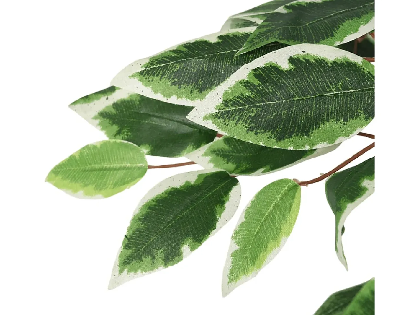 Hot Ficus artificial con 378 hojas 80 cm ES911564 Verde