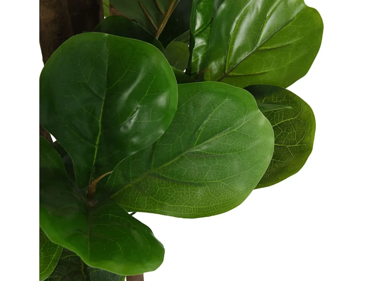 Online Ficus lyrata artificial 180 hojas 150 cm Verde