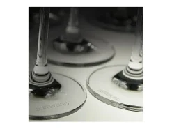 Flauta Zafferano en copa para vinos espumosos 38cl - Set de experiencias 6 piezas Transparente Clearance
