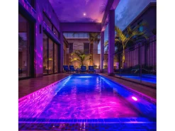 Ledkia Foco Piscina Superficie LED RGB Sumergible 12V AC IP68 Acero Inoxidable 20W No RGB Plateado Clearance