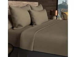 Soleil d'ocre Ropa De Cama-Funda de almohada rectangular US 50x75 cm en algodón liso 57 hilos taupe Topo