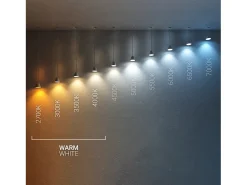 Ledkia Guirnalda Exterior con Bombillas LED E27 Filamento 5.5m IP65 Negro 2700K Cálido Blanco New