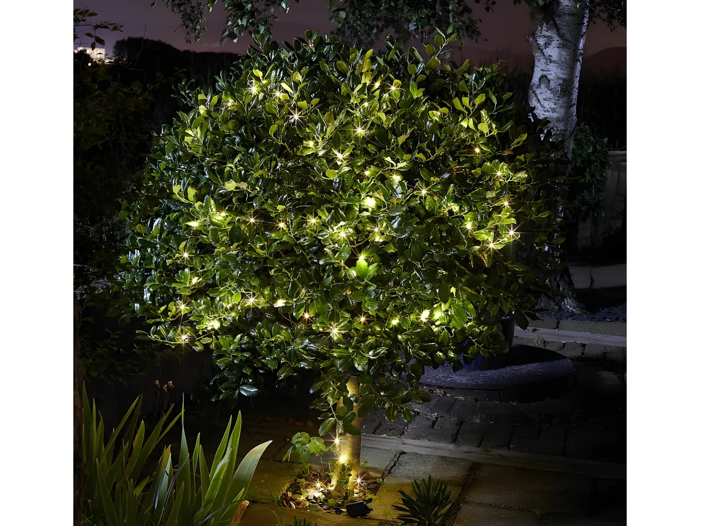 New Smart garden products Guirnalda solar exterior LUCI200 LED blanco cálido - 21,9m Multicolor