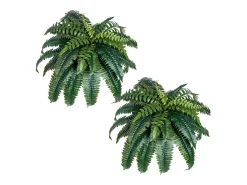 Best Helecho Artificial SucceBuy, Pack de 2, Helecho Falso de Boston 90-100 cm, 35 Hojas, Colgante, Decoración Interior/Exterior, Hogar/Oficina, Maceta No Incluida Verde