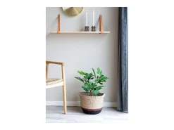 Clearance House Nordic Higuera artificial 50 cm Verde