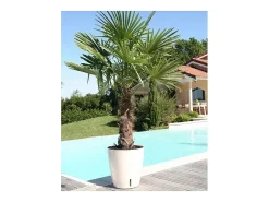 Riviera Jardinera redonda para flores - Plástico Ø 31 cm - Azul