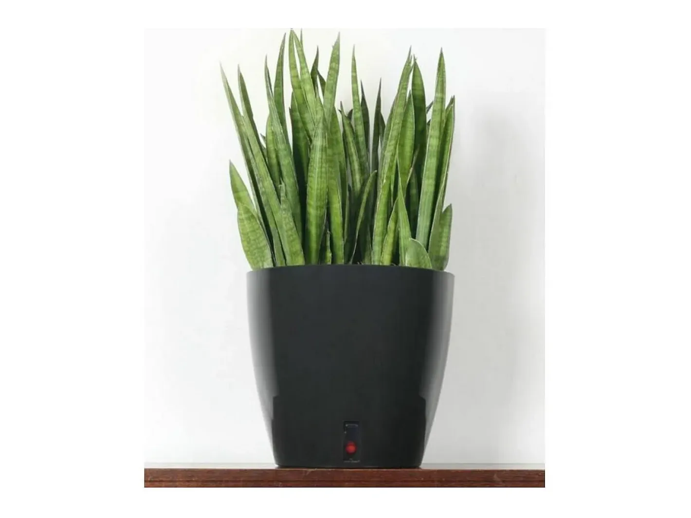 Riviera Jardinera redonda para flores - Plástico Ø 31 cm - Azul