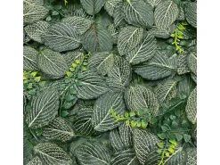 Hot NORTENE Jardín vertical fresno 50x50 cm 50X50 CM Verde
