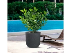 Hot Jarrón cilíndrico de resina Raffaello Grigio de 35x34 cm para plantas de interior y exterior Gris