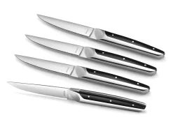 Outlet Amefa Juego de 4 cuchillos de carne Emperor - Estilo de alta gama, hoja dentada, mango bimaterial ABS y acero inoxidable Gris
