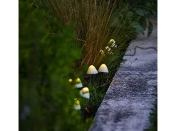 Lumisky Iluminación Exterior-Juego de 10 mini hongos solares 3.8M CHAMPY Blanco