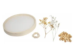 Kit de creación de marco redondo de madera con flores secas Multicolor