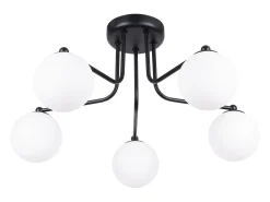 Sollux Lighting Lámpara de araña Bealy minimalista de acero/vidrio - 5 fuentes luminosas 3000K - L.58 x A.29 cm - /blanco Negro