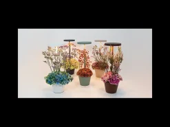 Lámpara de mesa LED recargable y regulable Poldina Reverso Corten con duración de batería de hasta 12 horas. IP65 para exteriores Marru00f3n