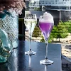 Chef & Sommelier Vaso-Lote de 6 Copas de Vino 16 cl Symétrie