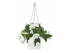 Best ELHO Maceta colgante exterior Ø 24 x Alto 20 cm - Blanco