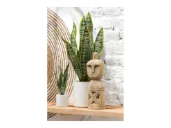 J-Line Maceta de sansevieria artificial de plástico de 10x10x36 cm Verde Online
