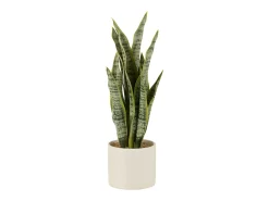 J-Line Maceta de sansevieria artificial de plástico de 10x10x36 cm Verde Online