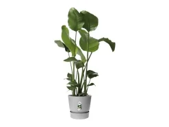 Clearance ELHO Maceta redonda 40 - Exterior Ø 39 x 36,8 cm - Living hormigón Gris