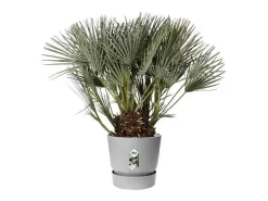 Clearance ELHO Maceta redonda 40 - Exterior Ø 39 x 36,8 cm - Living hormigón Gris
