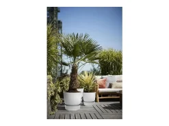 Clearance ELHO Maceta redonda 40 - Exterior Ø 39 x 36,8 cm - Living hormigón Gris