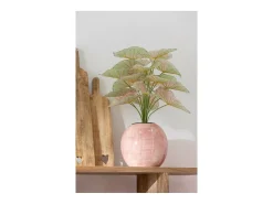 Sale J-Line Macetero de cerámica 24*24*21 cm Rosa