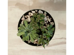Macetero MOA Vinthera base alta acero claro Ø20x30 cm Verde New