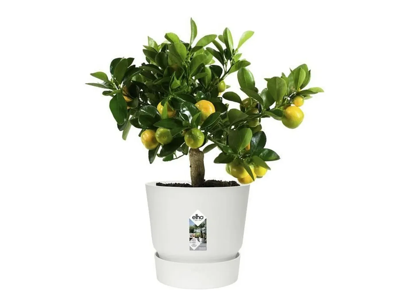 Outlet ELHO Macetero redondo 30 - Exterior Ø 29,5 x 27,8 cm - Blanco