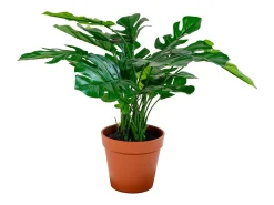 House Nordic Planta Artificial-Monstera deliciosa artificial 45 cm Verde