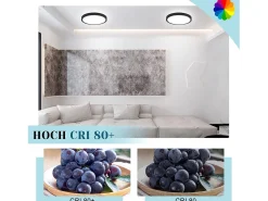 NETTLIFE LED - Iluminación de techo, plana, 18 cm - 15 W, , 6000 K - Iluminación moderna para la cocina, el pasillo, el dormitorio. Negro Sale
