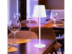 Hot NETTLIFE Lámpara de cabecera con batería inalámbrica - LED RGB 2600 mhA Lámpara de mesa para exteriores Lámpara de batería USB TIPO C Blanca Blanco