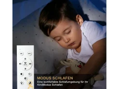 NETTLIFE Lámpara de Techo LED Metal 55W Moderna Regulable con Mando a Distancia 43CM Lámpara de de Diseño Dormitorio Habitación Infantil Negro