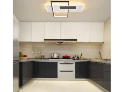 NETTLIFE Plafón-Lámpara de techo LED Lámpara de techo para sala de estar Regulable 62W con 2 focos de techo Negro con control remoto Acrílico moderno Blanco