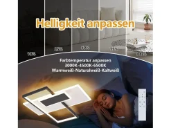 NETTLIFE Plafón-Lámpara de techo LED Lámpara de techo para sala de estar Regulable 62W con 2 focos de techo Negro con control remoto Acrílico moderno Blanco