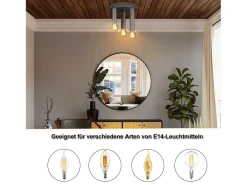 NETTLIFE Plafón-Lámpara de Techo Vintage E14 de 3 Focos Lámpara de Dormitorio Gris Industrial Retro con araña de Metal para Sala de Estar Bar, máx. 25W Negro