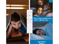 NETTLIFE Lámpara de Techo LED Lámpara de Negra 33 W Regulable con Control Remoto Lámpara de Diseño Moderno Lámpara Redonda para Dormitorio Negro Online
