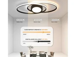 NETTLIFE Plafón-Lámpara de Techo LED 3000K-6500K Regulable 48W Habitación Infantil Salón con Mando a Distancia Moderna para Dormitorio Cocina Balcón Negro