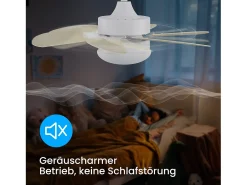 NETTLIFE Ventilador de techo con luz, mando a distancia, silencioso, con temporizador, 6 aspas, para dormitorio Marru00f3n Best