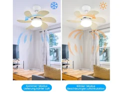 NETTLIFE Ventilador de techo con luz, mando a distancia, silencioso, con temporizador, 6 aspas, para dormitorio Marru00f3n Best