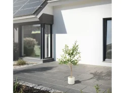 Sale ML-DESIGN Olivo artificial Plantas artificiales Árbol artificial Planta artificial en mace Verde