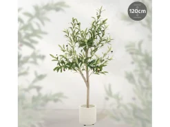 Sale ML-DESIGN Olivo artificial Plantas artificiales Árbol artificial Planta artificial en mace Verde