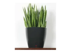 Riviera Olla redonda de plástico con reserva de agua 35 cm Eva Topo Hot