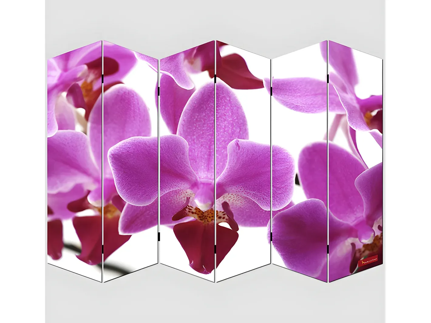 MCW Pantalla fotográfica Bagheria, 180x240cm, Orquídea Rosa / Blanco Discount