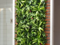 New Vente-unique Pared vegetal sintética , protección anti-UV, pack de 3m², IKAZ Verde