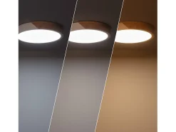 Ledkia Plafón-Plafón LED 18W Circular Madera Ø320 mm CCT Seleccionable Semi-Dari Blanco Multicolor