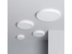 Hot Ledkia Plafón LED 24W Circular Metal Ø300 mm Design White 5000K Blanco Frío Multicolor