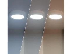Ledkia Iluminación Exterior-Plafón LED 12W Circular SwitchCCT Seleccionable Ø170 mm Regulación Compatible con Mando RF V2 Seleccionable (Cálido-Neutro-Frío) Blanco
