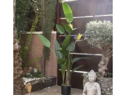 NORTENE Planta Artificial-Planta artificial ave del paraiso flor 185 cm 185 CM Verde