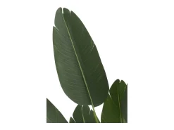 Online J-Line Planta artificial de plástico 33x33x165cm Verde